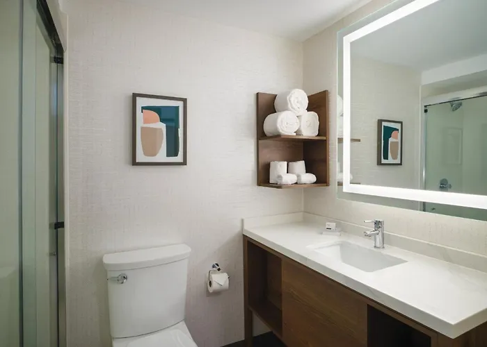 Hotel Chicago O'hare - By Ihg 3*