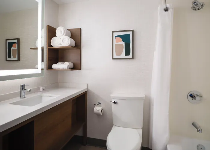 Chicago O'hare - By Ihg Hotel 3*