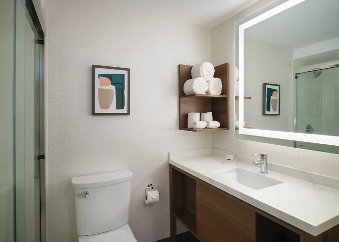 Chicago O'hare - By Ihg Hotel 3*